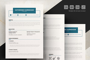 IT Manager CV Template Design