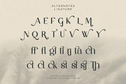 Partake | Modern Serif, a Serif Font by Pentagonistudio (Thumbnail 8 of 10)