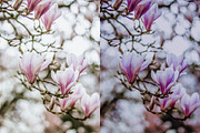 Spring Photoshop Actions, an Action Add-On by Bato (Thumbnail 4 of 16)