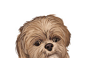 Poodle Cross Breeds 27 Dogs/Puppies, an Animal Illustration by Dneprstock (Thumbnail 14 of 27)
