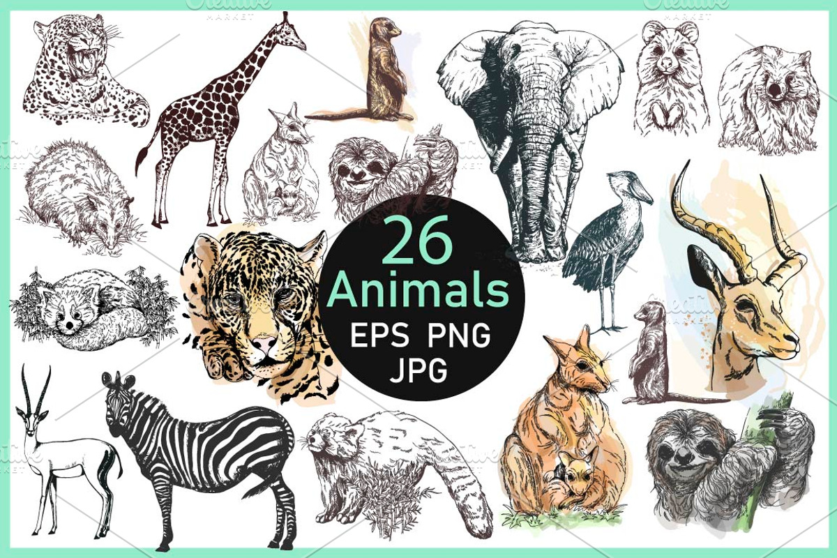 Wild Animals, an Animal Illustration by Ecaterina Sciuchina (Photo 1 of 3)