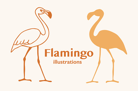 Flamingo vector illustrations