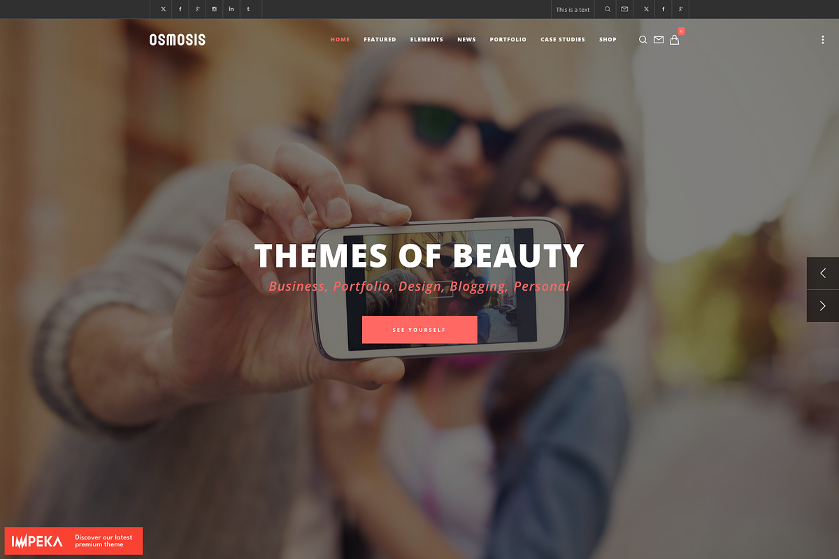 Multi-Purpose WordPress Theme, a WordPress Template by UInstrument (Photo 1 of 10)