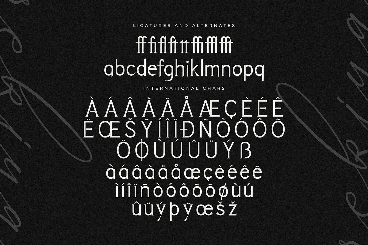 Rekiya Modern Serif Display Font, a Serif Font by Storytype Studio (Photo 12 of 15)