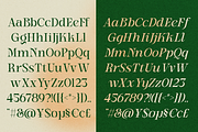 Stella Aesta - 10 Butterfly Font, a Serif Font by Dharmas Foundry (Thumbnail 14 of 17)