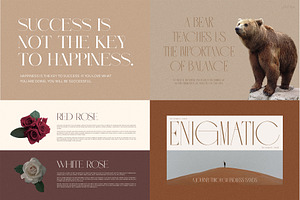 Minimalist Serif Font Bundle