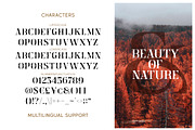 Crainzel - Display Serif Font, a Serif Font by Letterhend Studio (Thumbnail 7 of 9)