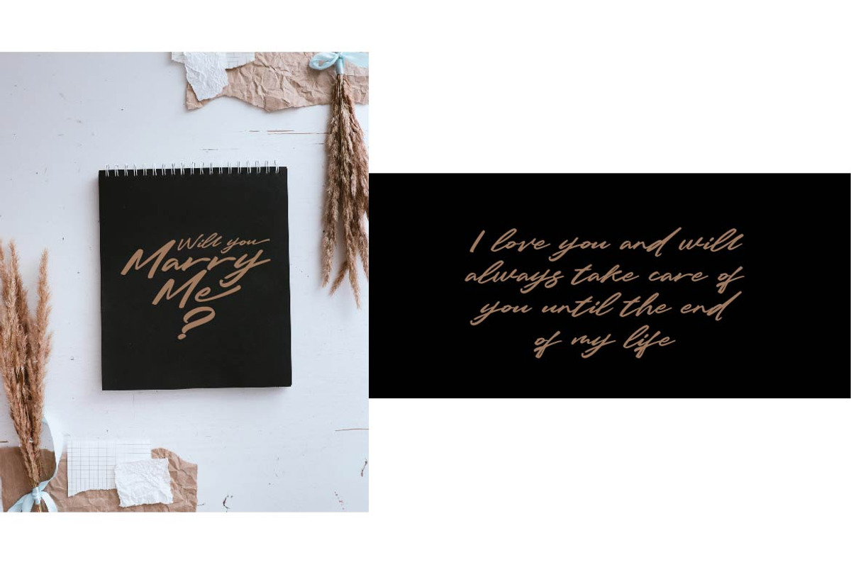 Saio - Signature Font, a Script Font by Olexstudio (Photo 10 of 10)