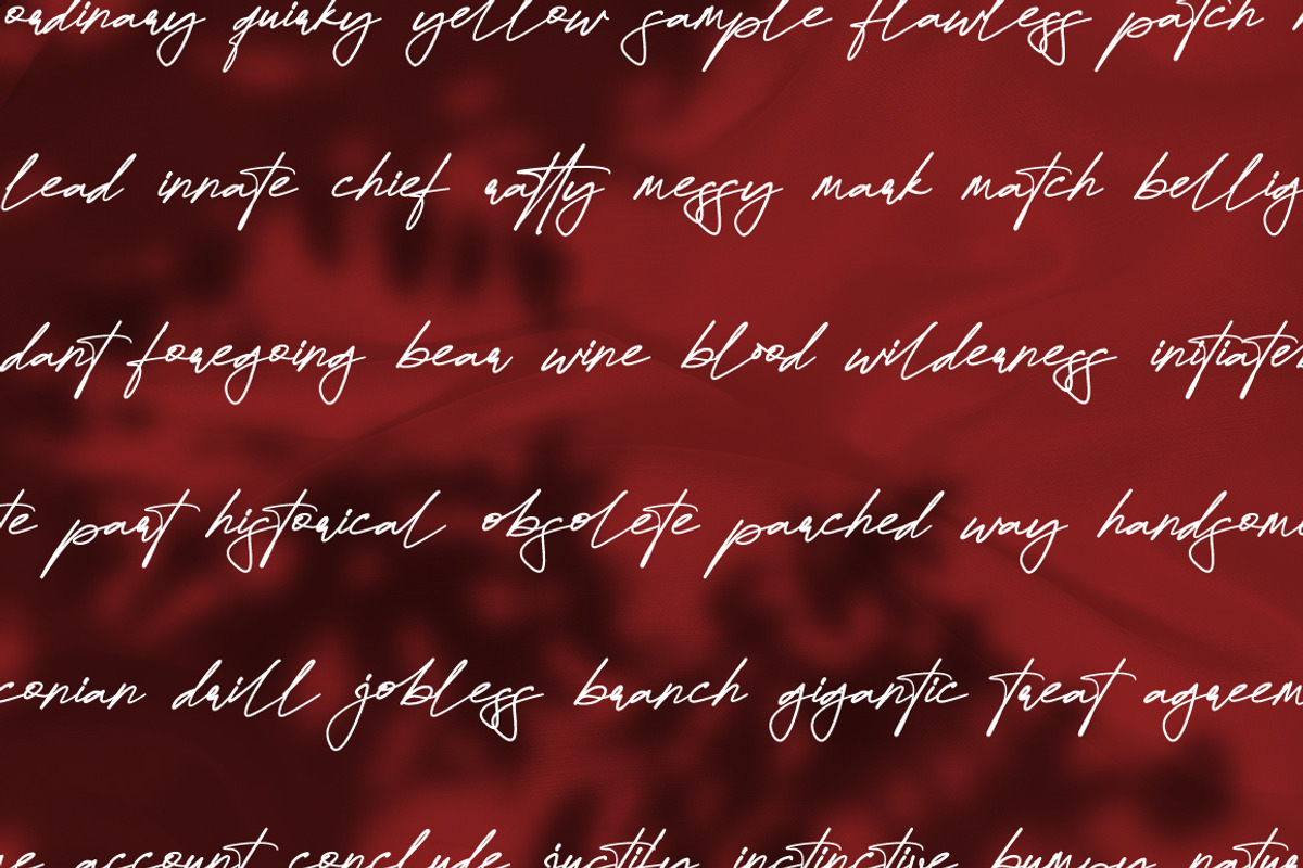 Quenttine Signature Business Font, a Script Font by KennedyStudio (Photo 4 of 11)