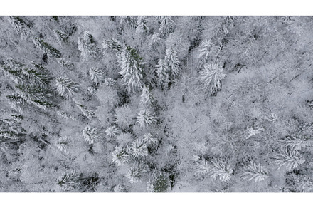 Top view of snow-covered winter, a Nature Photo by Media Whale Stock