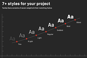 Tamba Sans, a Sans Serif Font by Dharma Type (Thumbnail 3 of 12)