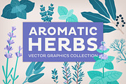Aromatic Herbs Vector Graphics, an Illustration by Insalata Illustrata (Thumbnail 1 of 6)