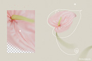 FLORA.PNG | Blurry Flower Collage, an Object Graphic by ana & yvy (Thumbnail 3 of 23)