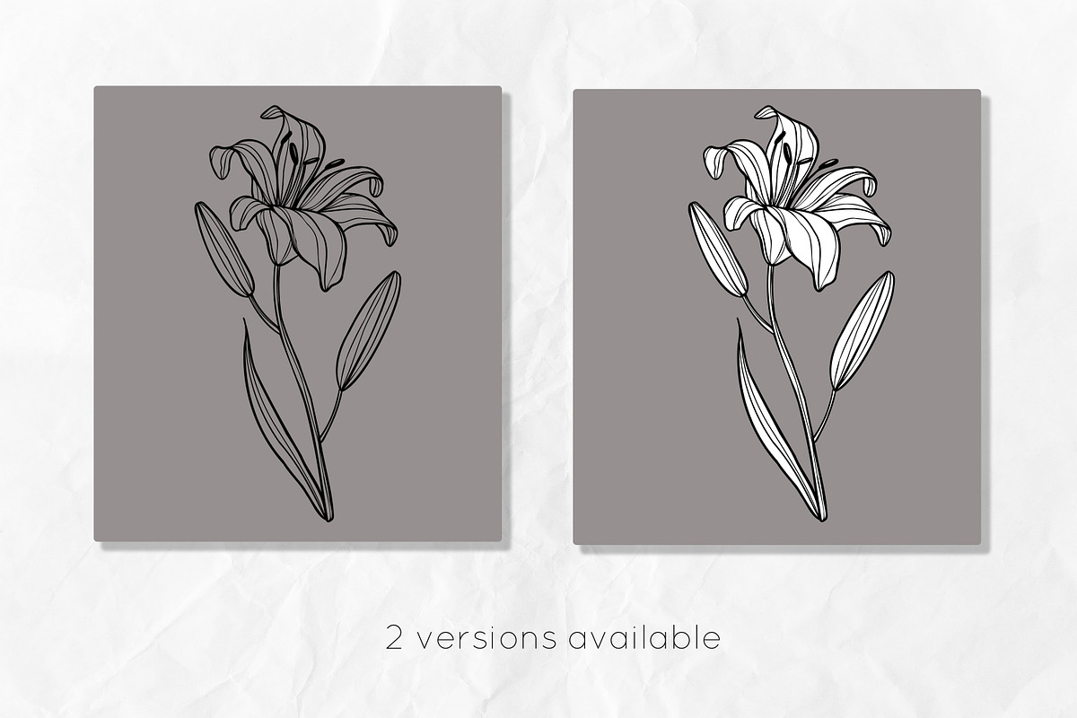 Lily Flowers Line Art SVG, an Object Graphic by Dervik Art Store (Photo 6 of 8)