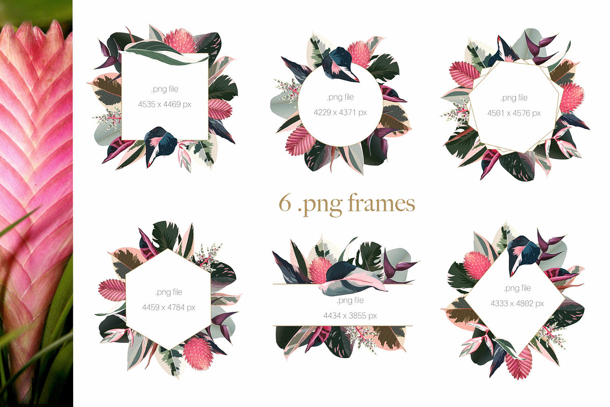 Pink tropical frames and patterns, an Illustration by marie dricot (Photo 2 of 15)