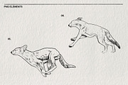 Red wolf animal sketches PNG, an Animal Illustration by LOKSKIH (Thumbnail 5 of 5)