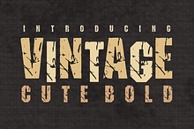 Cute Bold Vintage- Grunge Font Style