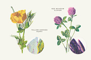 Vintage Flower Illustrations Bundle, an Illustration by Greta Ivy (Thumbnail 27 of 62)