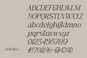 Ardellea, a Serif Font by din-studio.com (Thumbnail 7 of 16)