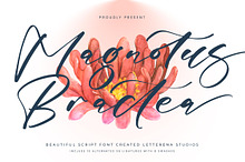 Magnotus Bractea Beautiful Script