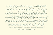 Peglastone Handwritten Ink Font, a Script Font by Letterena Studios Script (Thumbnail 17 of 20)