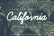 Chloe Lavender ~ Hand Drawn Script, a Script Font by Greenhouse Supply Co (Thumbnail 1 of 7)