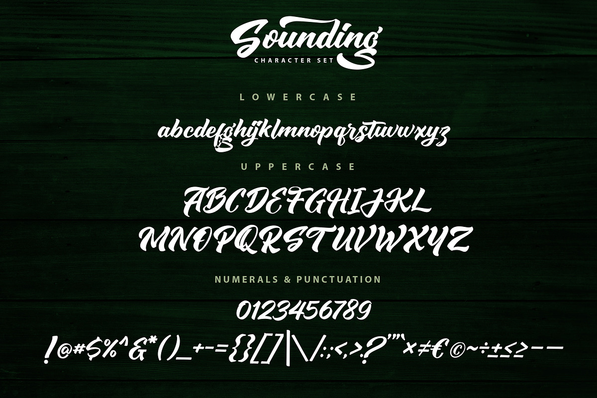Sounding - Handlettering Script Font, a Script Font by Typefactoryco (Photo 7 of 9)
