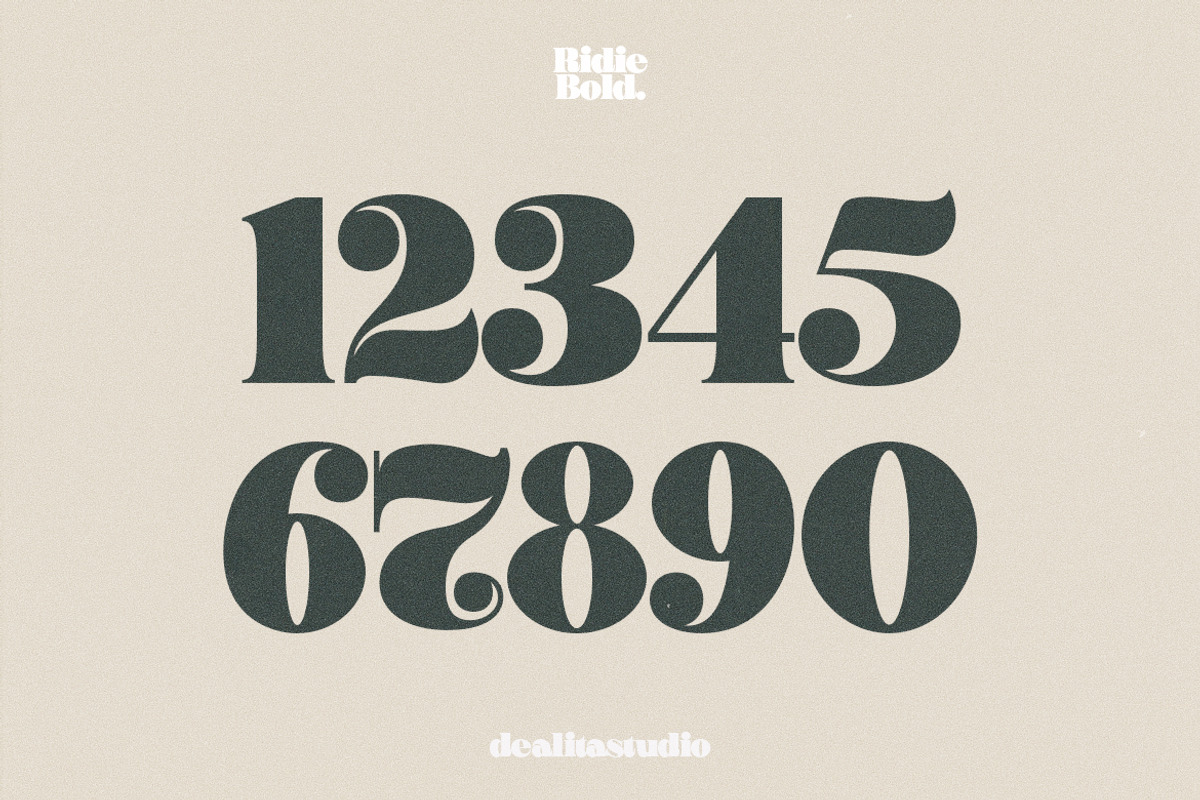 Ridie - Display Font, a Serif Font by dealitastudio (Photo 7 of 7)