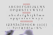 Angrela Display, a Serif Font by Gatype (Thumbnail 8 of 11)