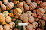West Fall – 5 Lightroom Presets Pack, a Preset Add-On by SHOOM HOUSE (Thumbnail 7 of 7)
