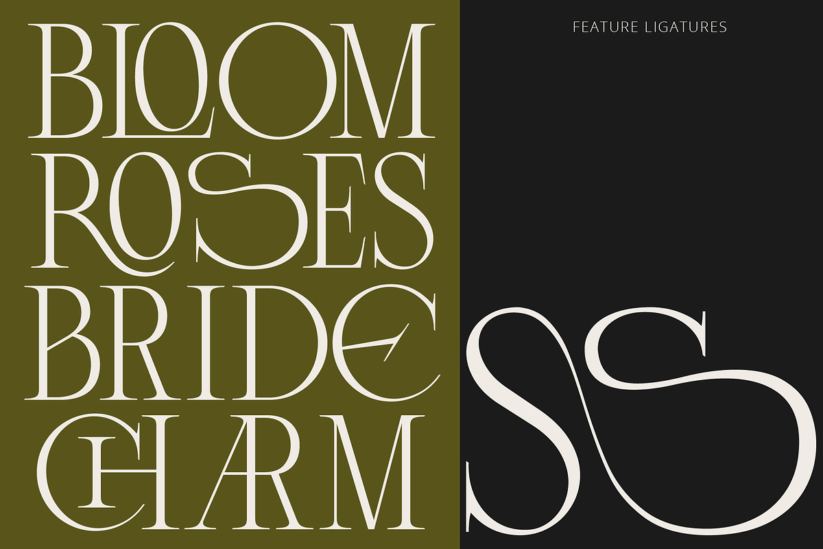 Lunoriels – Classic Serif Font, a Serif Font by Invasi Studio (Photo 2 of 13)