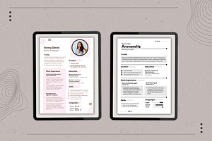 Business Curriculum Vitae Templates