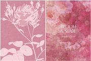 Bloom & Shade Botanical PNG Elements, an Object Graphic by alonahaidash (Thumbnail 9 of 13)