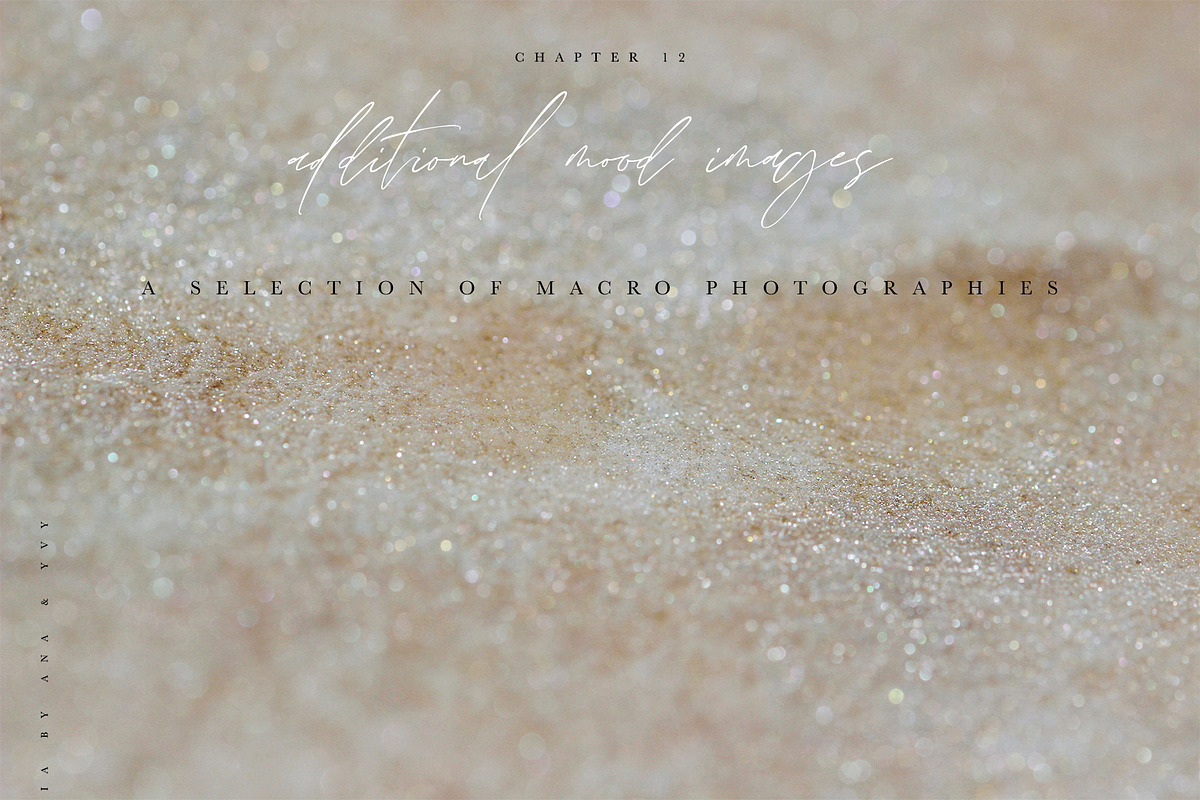 NATURATA ALCHEMIA mystical astrology, a Decorative Illustration by ana & yvy (Photo 42 of 46)