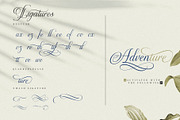 The Virnature Nature Script, a Script Font by alit design (Thumbnail 15 of 18)