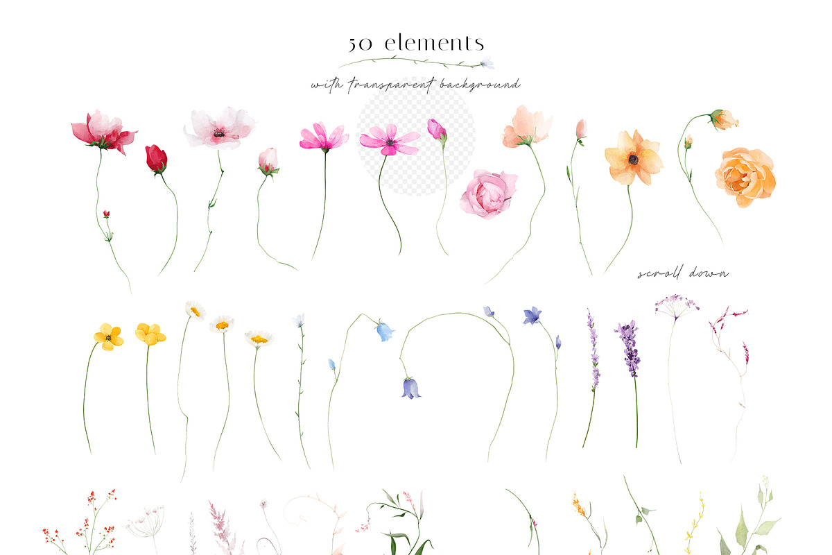 RAINBOW PLANTS bright flower set, a Decorative Illustration by Khrys.art (Photo 13 of 13)