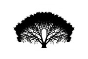 Tree Silhouette Vector Bundle, an Illustration by musafir_fashion (Thumbnail 7 of 51)