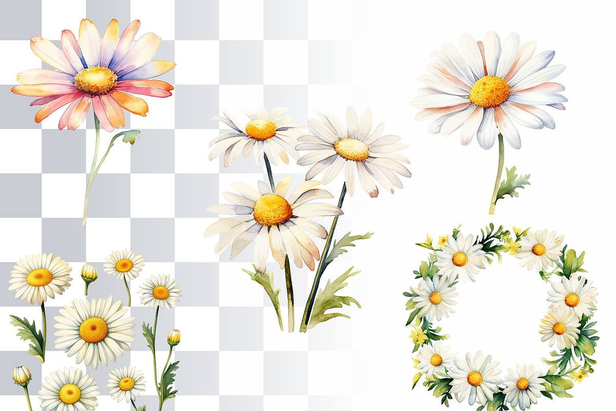 Daisy Flowers Watercolor Clipart Set, a Decorative Illustration by Loony Dream Designs (Photo 2 of 4)