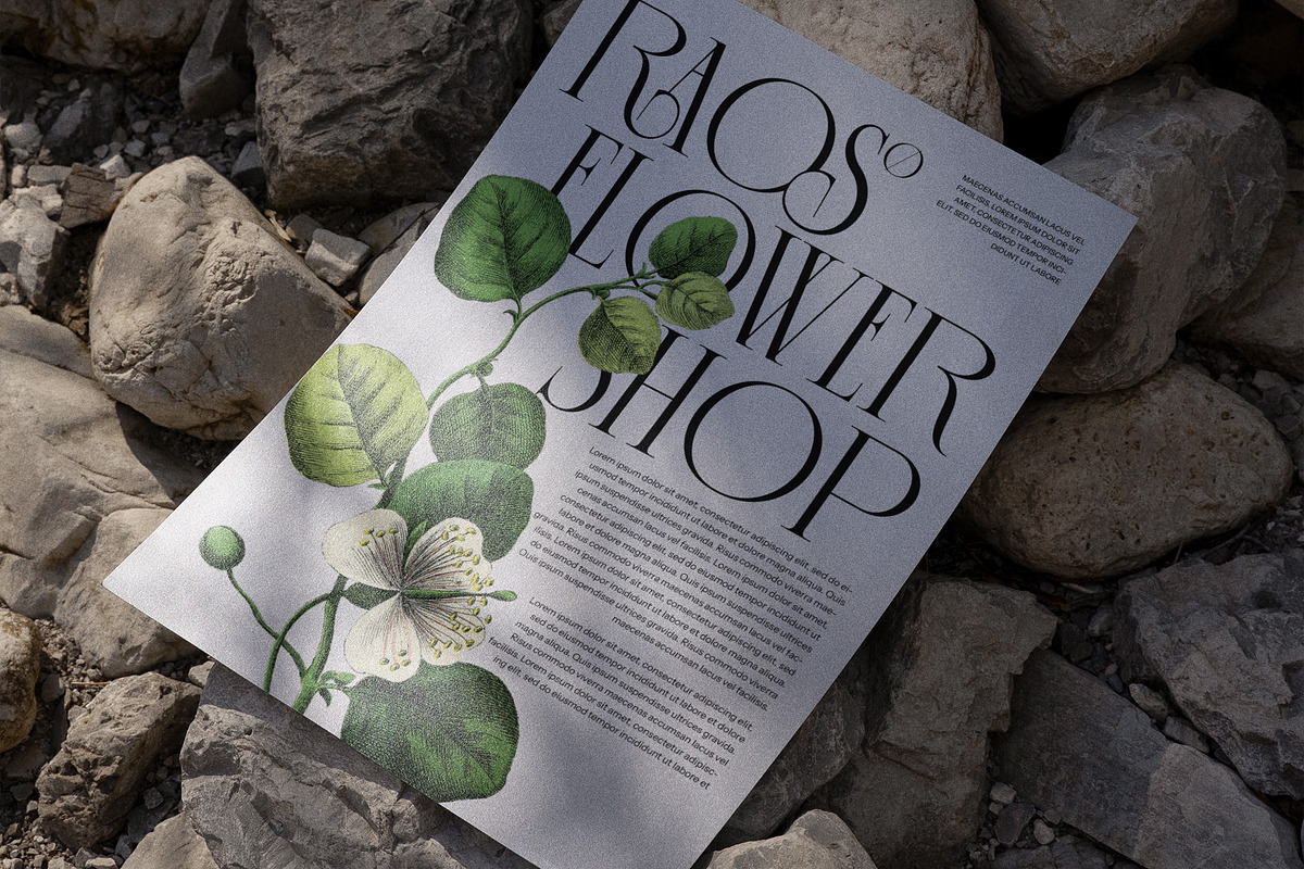 The Rogksy Elegant Serif Font, a Serif Font by Perfectype (Photo 6 of 8)