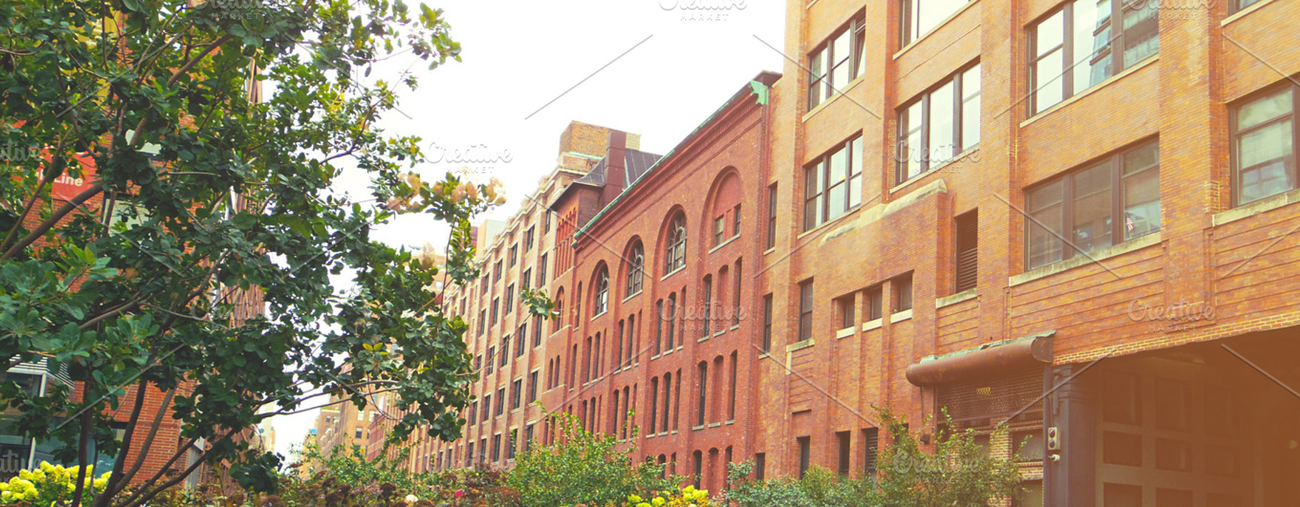 Sunny Brick Buildings