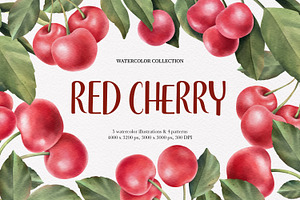 Red Cherry branch. Watercolor