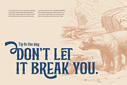 Mibundi | Retro Condensed Font, a Serif Font by twinstd (Thumbnail 5 of 13)