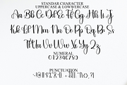 Morning Desember, a Script Font by FreshTypeINK (Thumbnail 3 of 8)