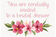 Beach Lagoon, Brush Script Font, a Script Font by Designing Digitals (Thumbnail 6 of 9)