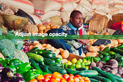 Colorful Template For Any Use, a Templates & Theme by Iconography - Pitch Deck (Thumbnail 26 of 36)