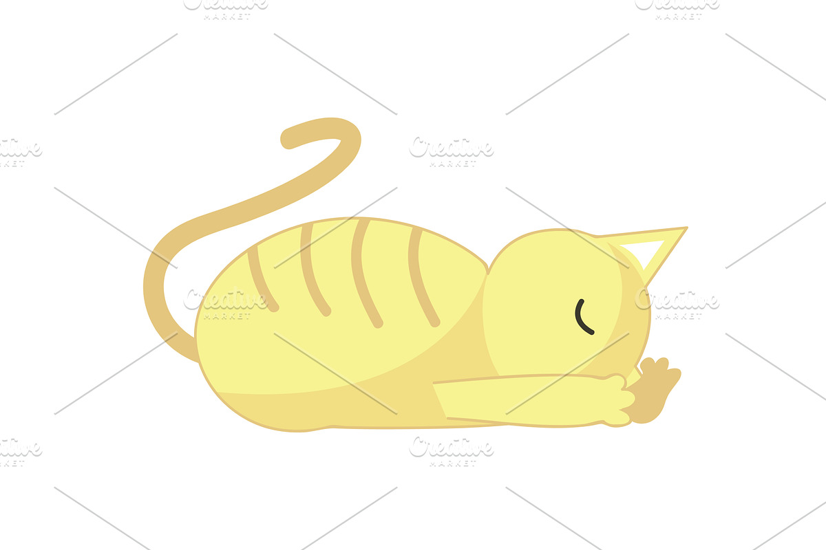 Yoga cat stretching vector cute, an Animal Illustration by SiberianArt
