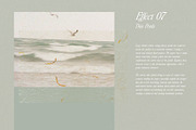 Pressed Flower Paper Effects, a Layer Style Add-On by Kaleriia (Thumbnail 14 of 21)