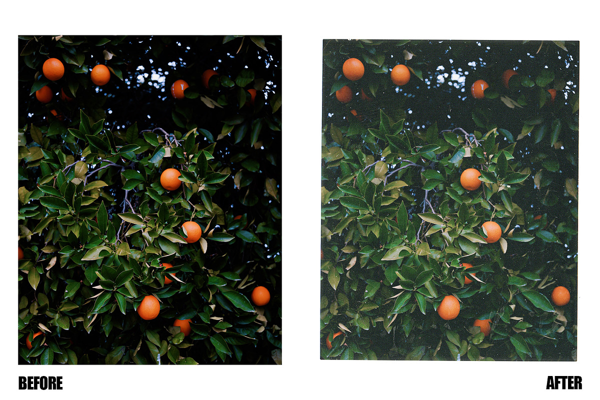 Instant Film Textures + Bonus Scans, a Graphic by coolranchcam (Photo 6 of 7)
