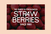 Bookochi Rounded Display Sans Serif, a Sans Serif Font by Designsation (Thumbnail 9 of 10)
