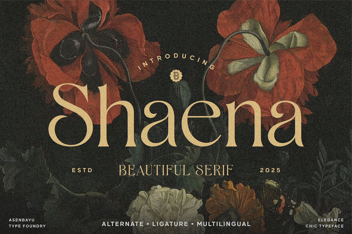 Shaena - Beautiful Serif, a Serif Font by Asenbayu (Photo 1 of 14)